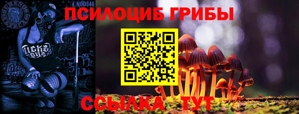 Псилоцибиновые грибы прущие грибы  Вход с VPN  Избербаш 